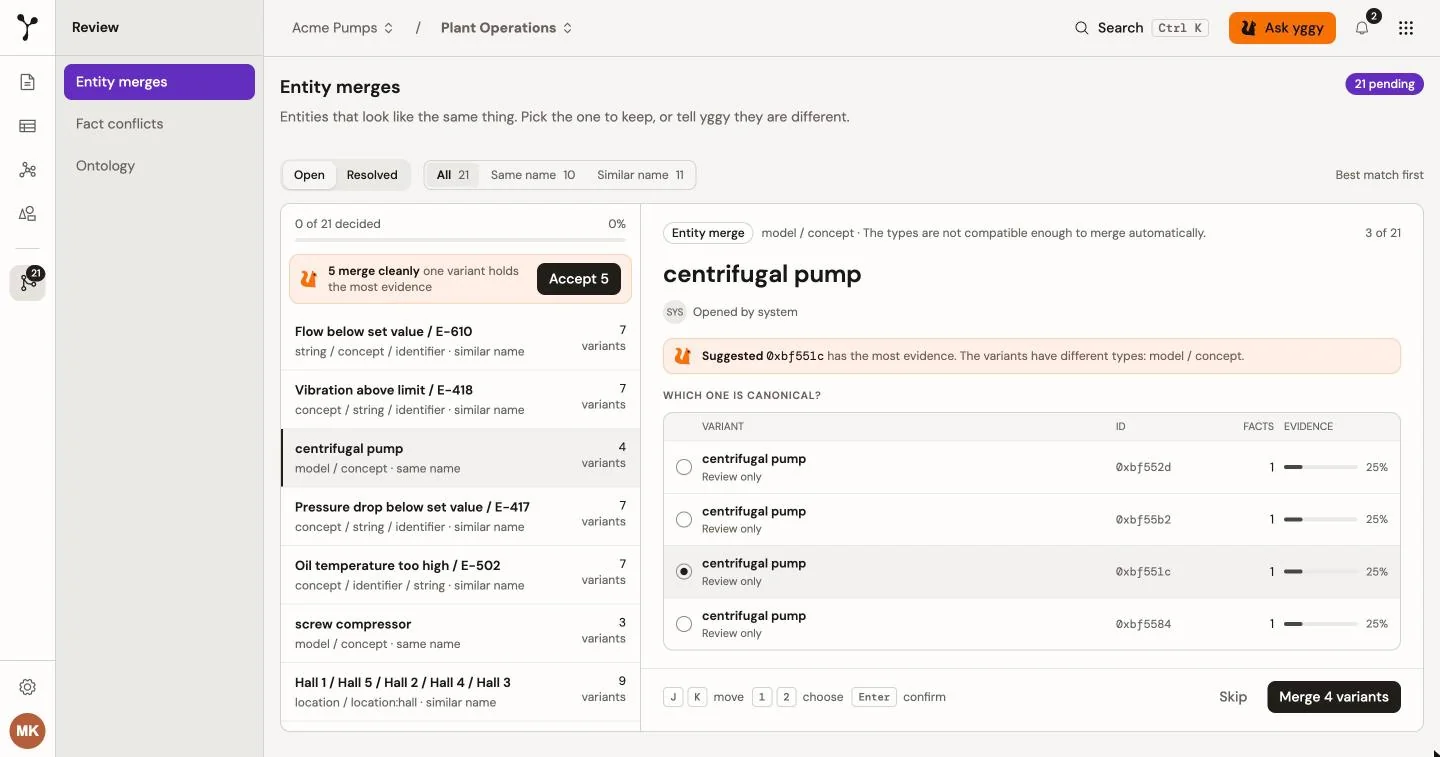 Review → Entity merges: the queue with its progress line and the 5 merge cleanly strip, and the canonical-variant table with one radio row per variant, Skip, and Merge 4 variants.
